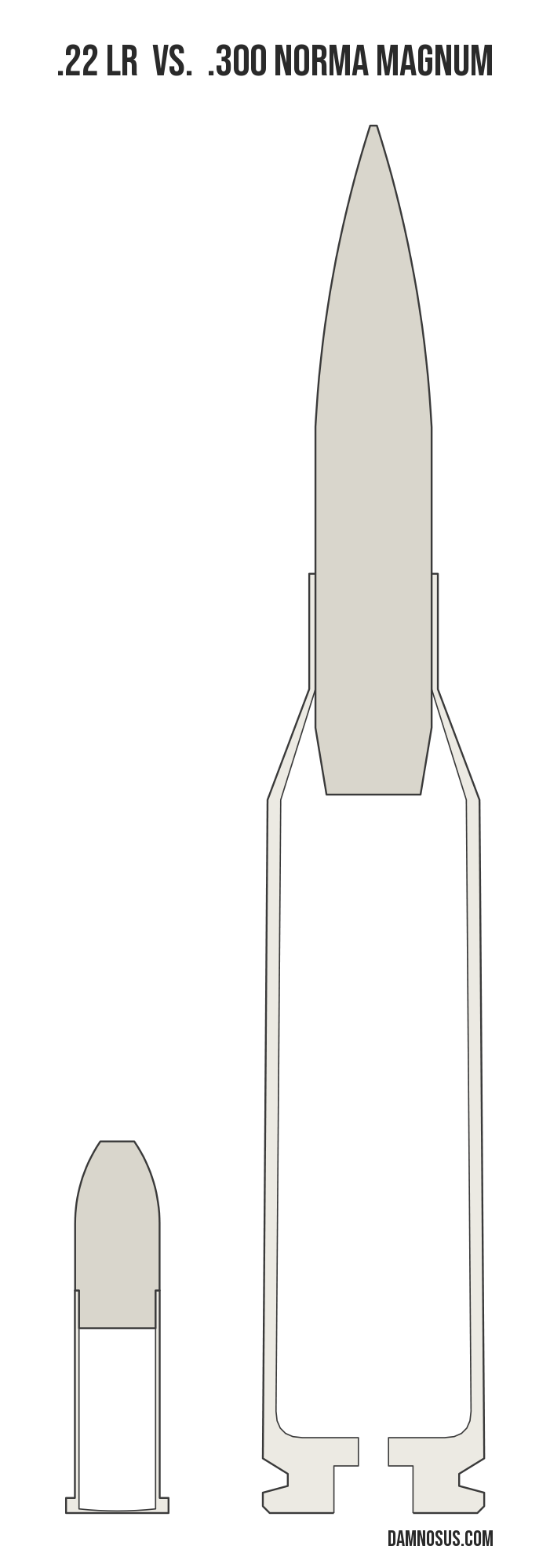 .22 LR vs .300 Norma Magnum cartridge size comparison, drawn to scale and aligned at the case head.