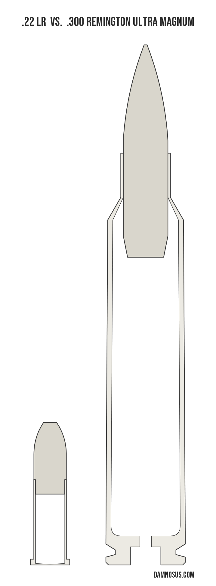 .22 LR vs .300 Remington Ultra Magnum cartridge size comparison, drawn to scale and aligned at the case head.