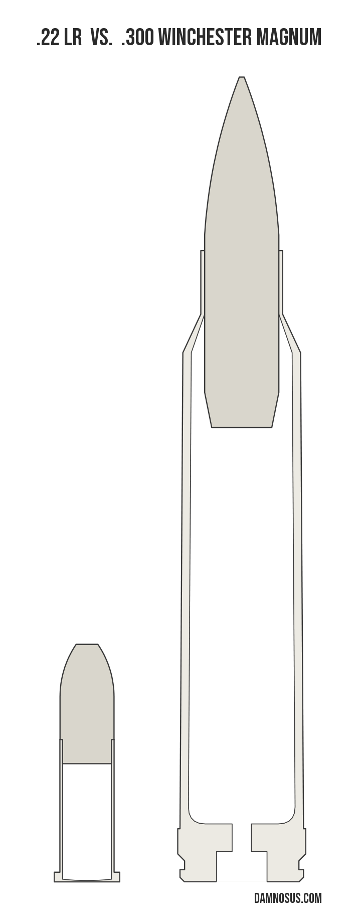 .22 LR vs .300 Winchester Magnum cartridge size comparison, drawn to scale and aligned at the case head.