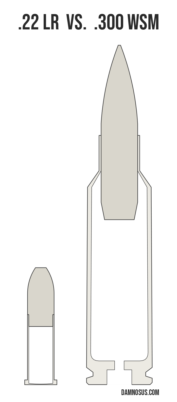 .22 LR vs .300 WSM cartridge size comparison, drawn to scale and aligned at the case head.