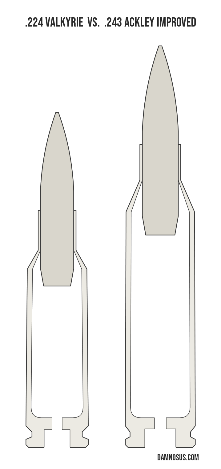 .224 Valkyrie vs .243 Ackley Improved cartridge size comparison, drawn to scale and aligned at the case head.