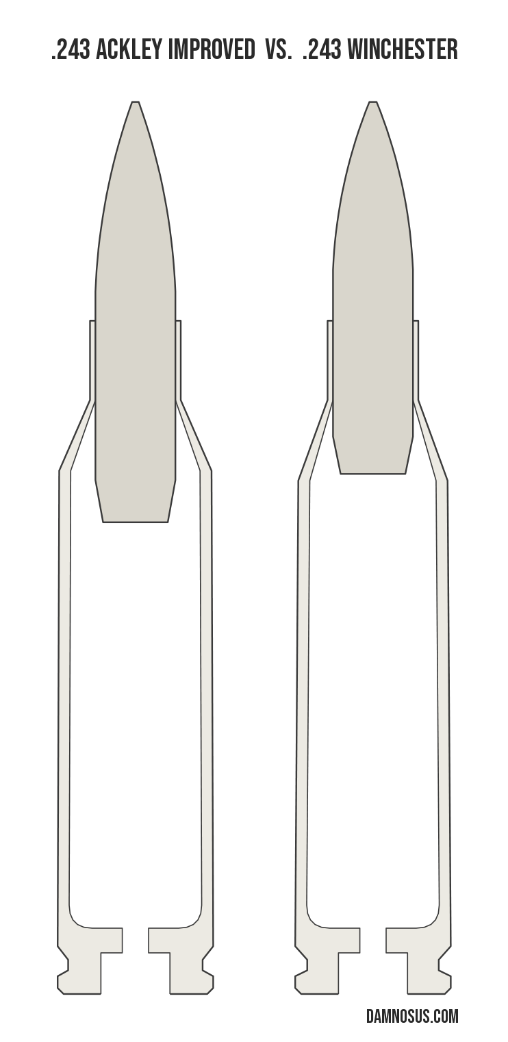 .243 Ackley Improved vs .243 Winchester cartridge size comparison, drawn to scale and aligned at the case head.