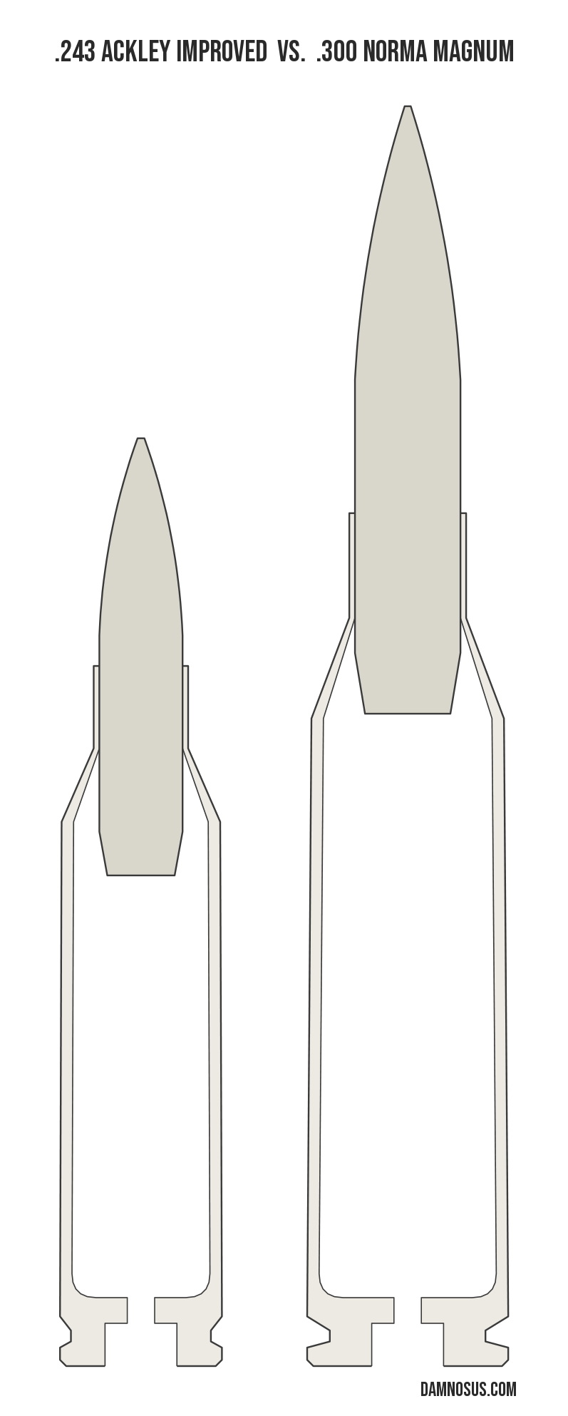 .243 Ackley Improved vs .300 Norma Magnum cartridge size comparison, drawn to scale and aligned at the case head.