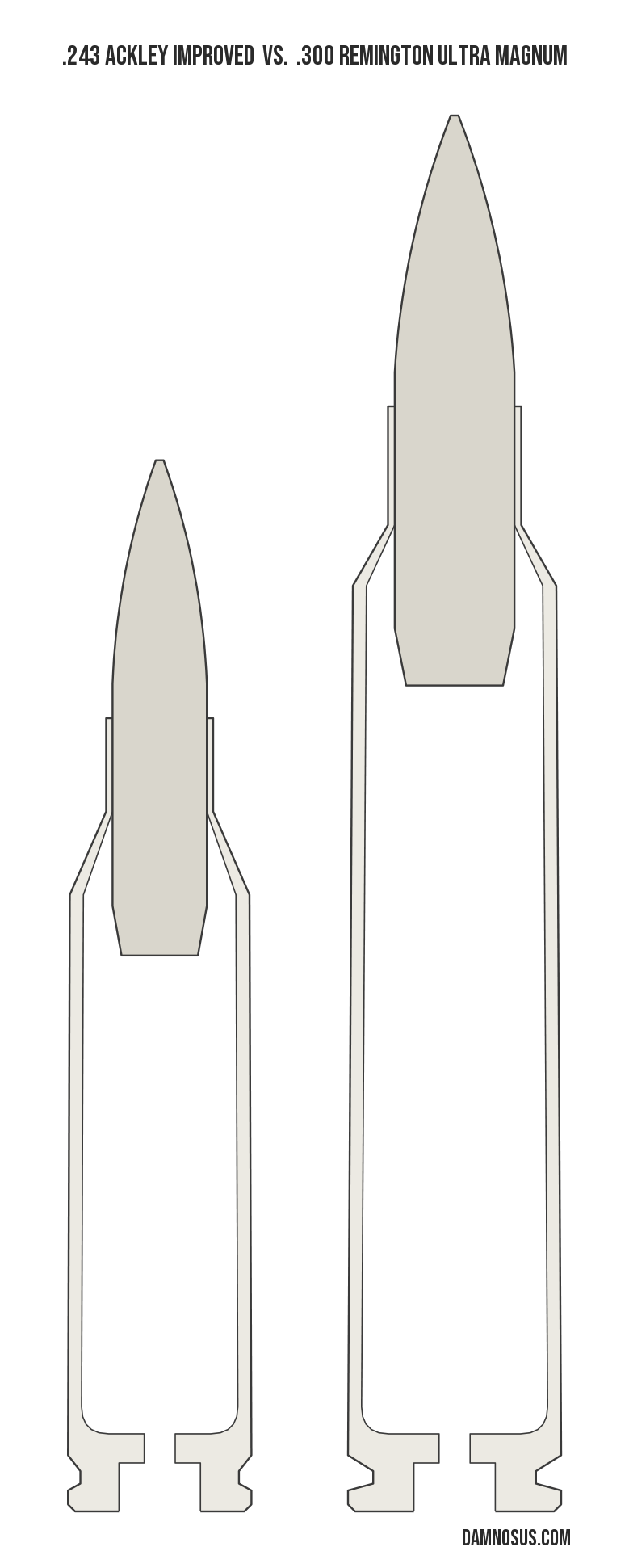 .243 Ackley Improved vs .300 Remington Ultra Magnum cartridge size comparison, drawn to scale and aligned at the case head.