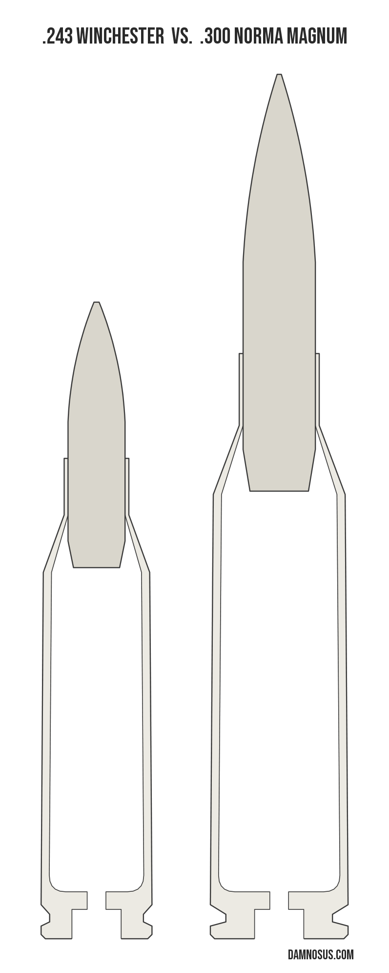 .243 Winchester vs .300 Norma Magnum cartridge size comparison, drawn to scale and aligned at the case head.