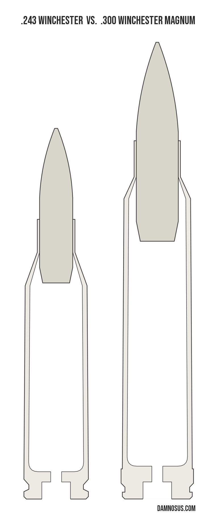 .243 Winchester vs .300 Winchester Magnum cartridge size comparison, drawn to scale and aligned at the case head.