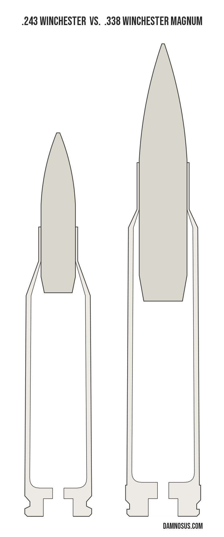 .243 Winchester vs .338 Winchester Magnum cartridge size comparison, drawn to scale and aligned at the case head.